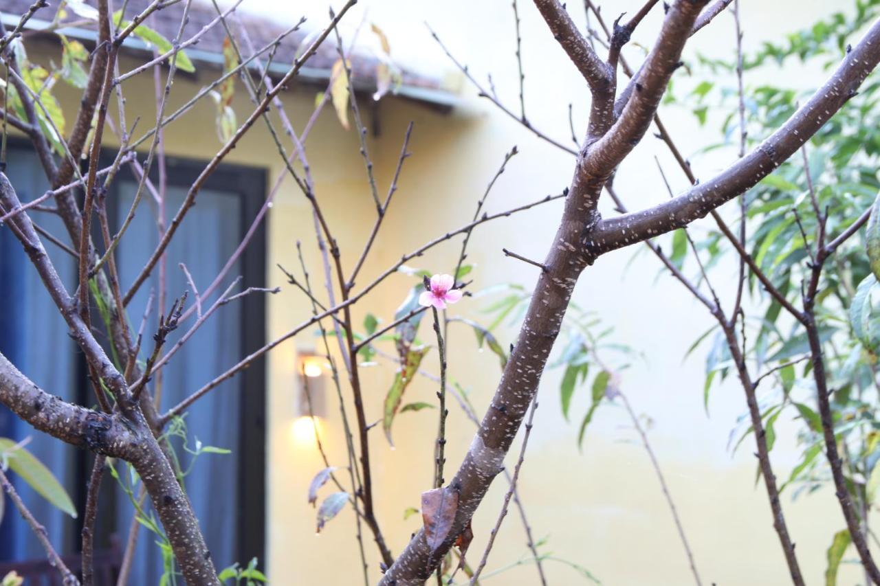 L'Amant Homestay Da Lat Esterno foto