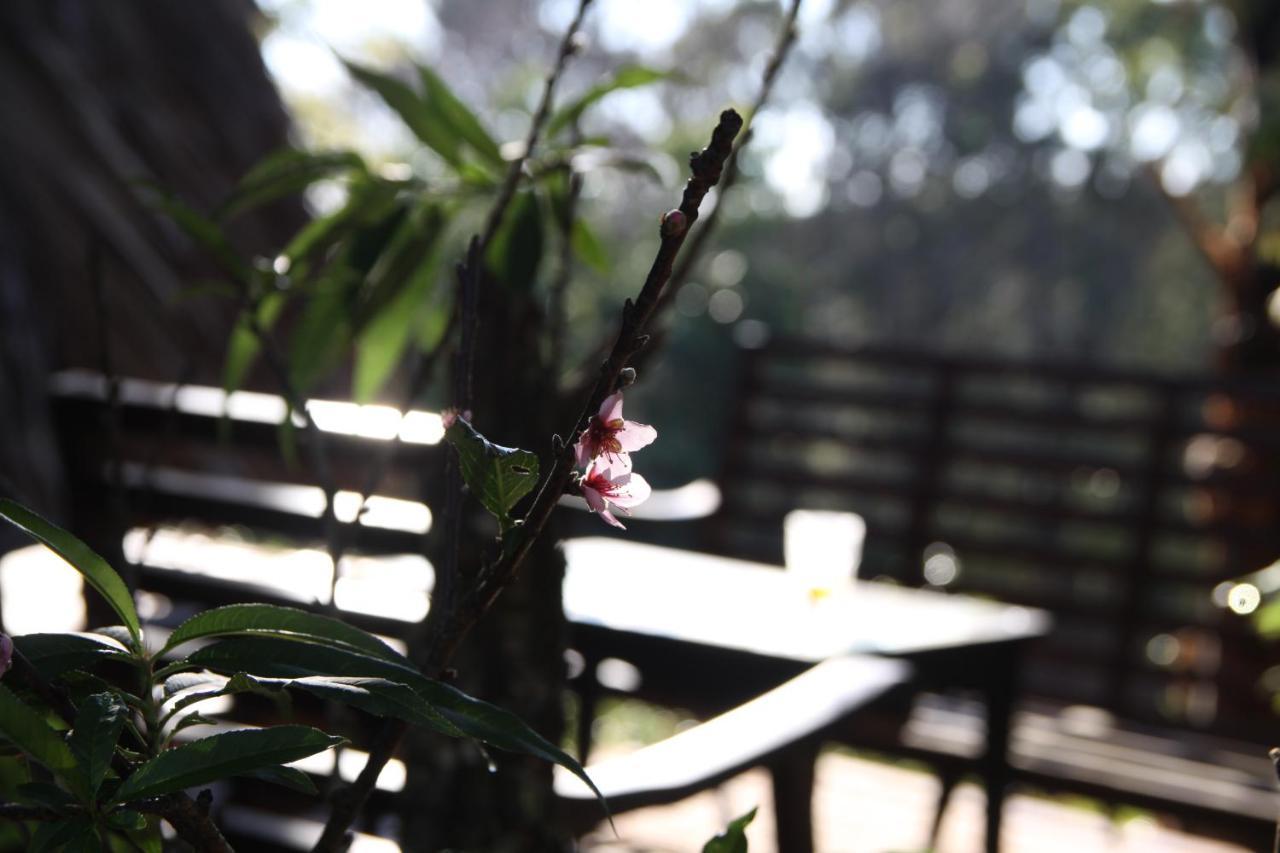 L'Amant Homestay Da Lat Esterno foto