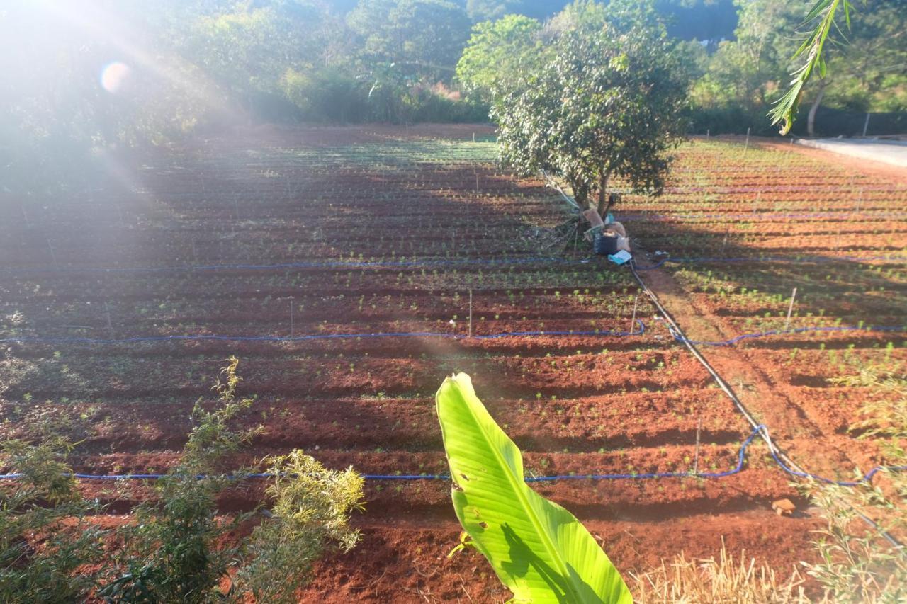 L'Amant Homestay Da Lat Esterno foto