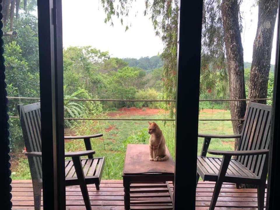 L'Amant Homestay Da Lat Esterno foto